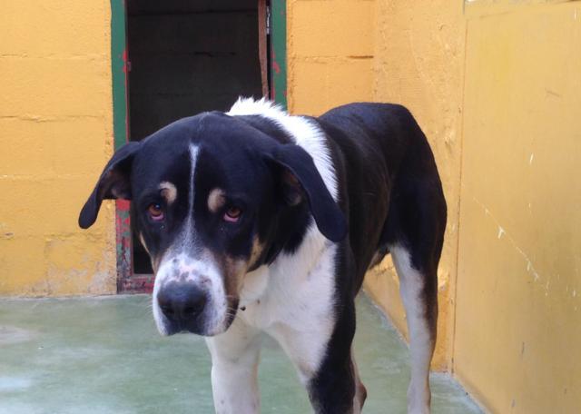 multimedia-foto36889-333-3