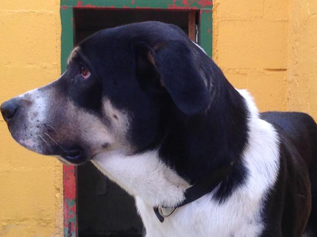 multimedia-foto36891-781-3