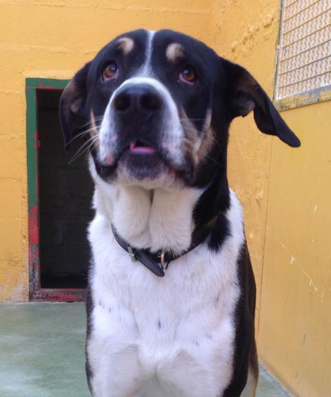 multimedia-foto36892-988-3