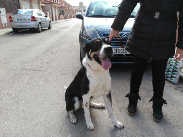 multimedia-foto36894-366-3