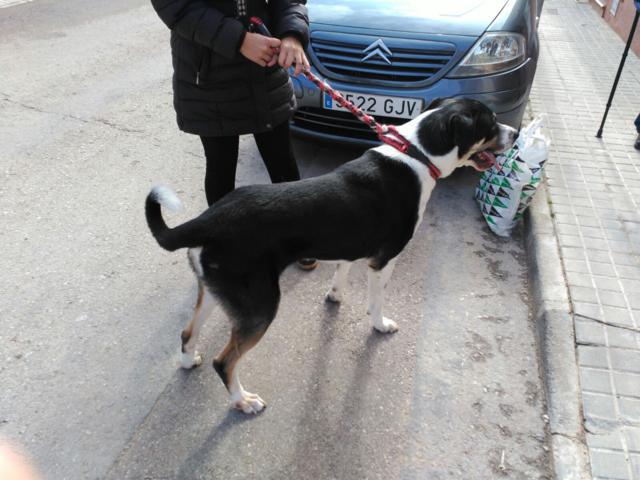 multimedia-foto36895-527-3