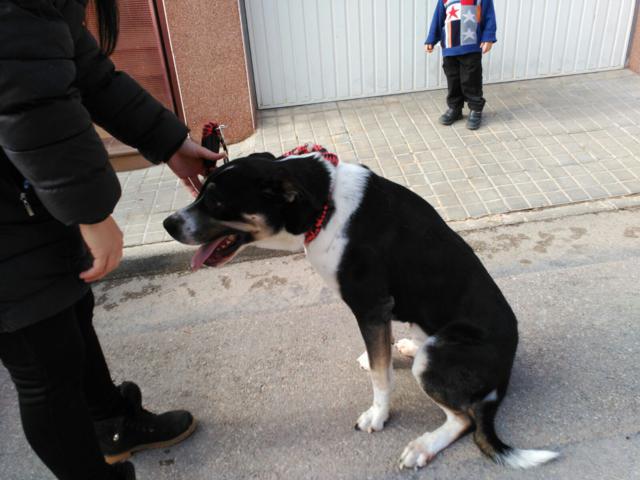 multimedia-foto36896-666-3