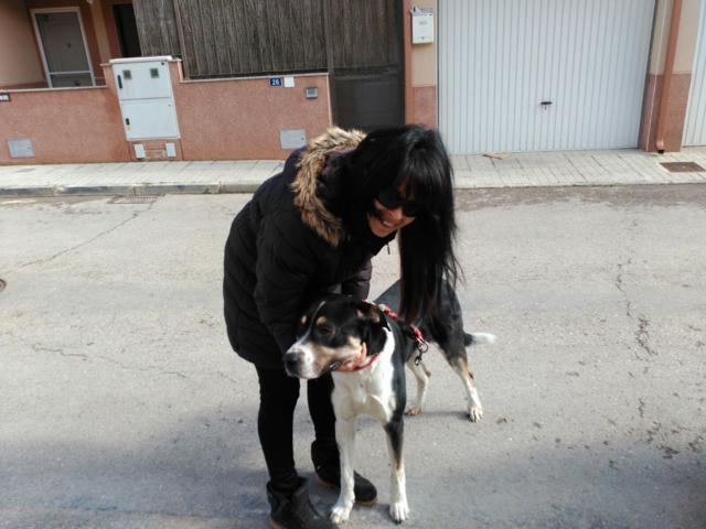 multimedia-foto36897-785-3