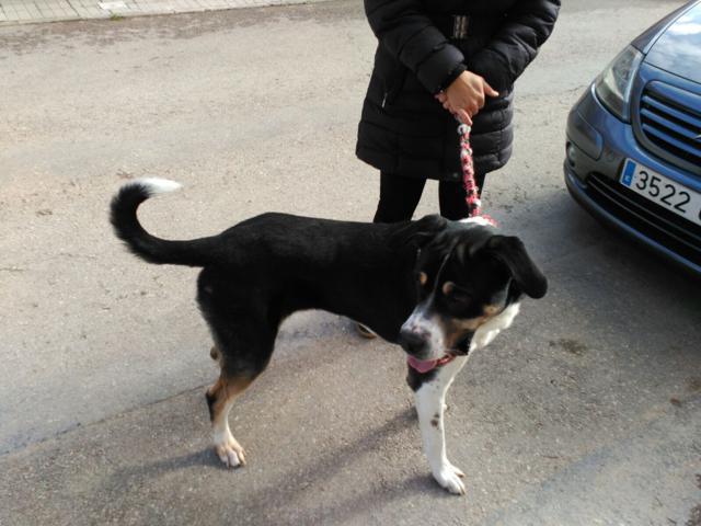 multimedia-foto36898-876-3