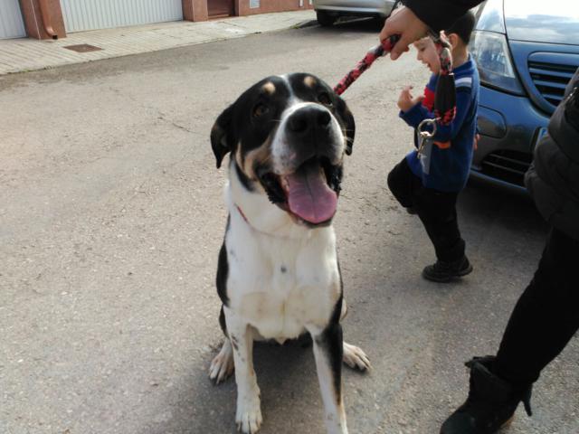 multimedia-foto36899-926-3