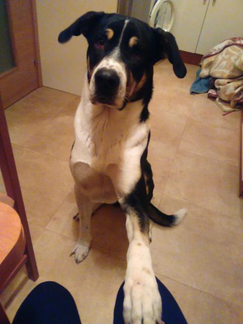 multimedia-foto36900-971-3