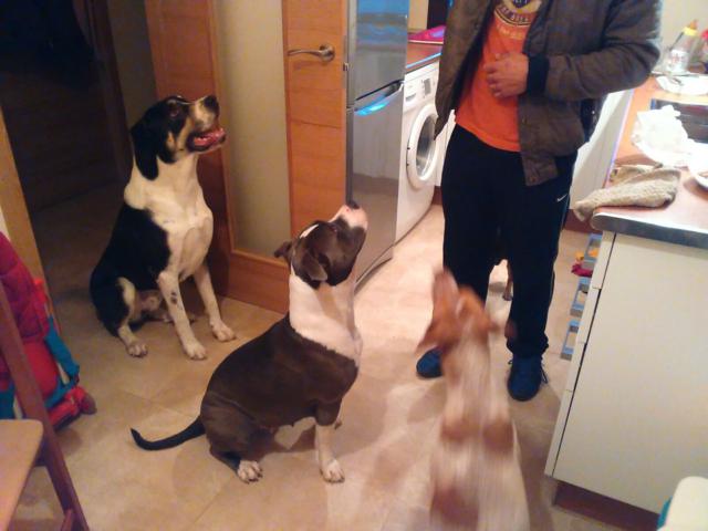 multimedia-foto36901-10-3