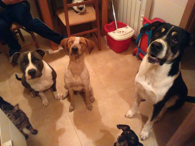 multimedia-foto36902-42-3