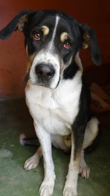 multimedia-foto36903-71-3