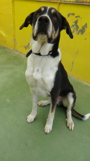 multimedia-foto36904-94-3