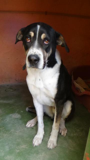 multimedia-foto36905-112-3