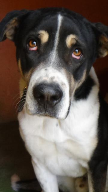 multimedia-foto36906-127-3