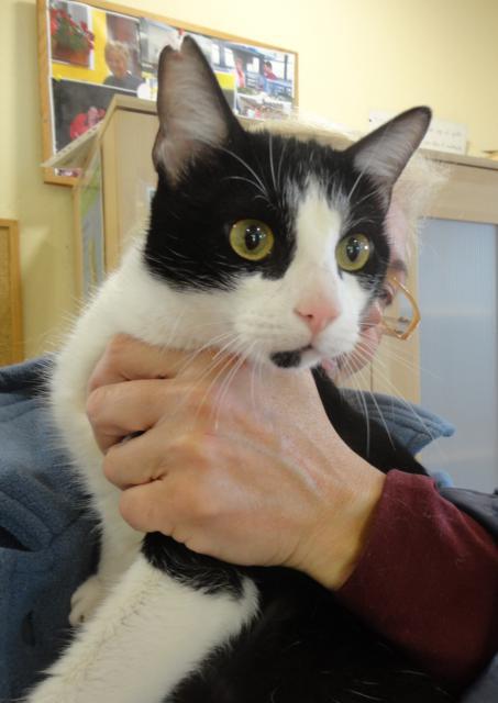 multimedia-foto36909-798-3