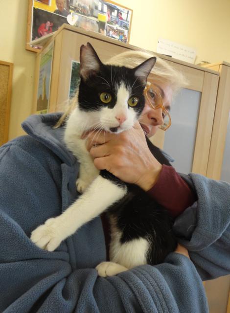 multimedia-foto36910-7-3