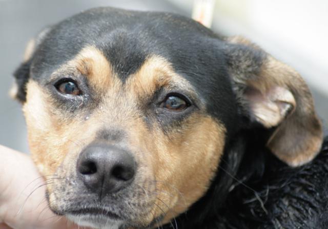 multimedia-foto36913-354-3