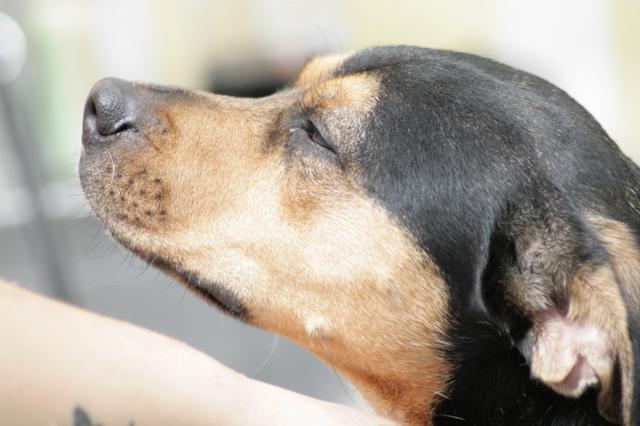 multimedia-foto36914-580-3