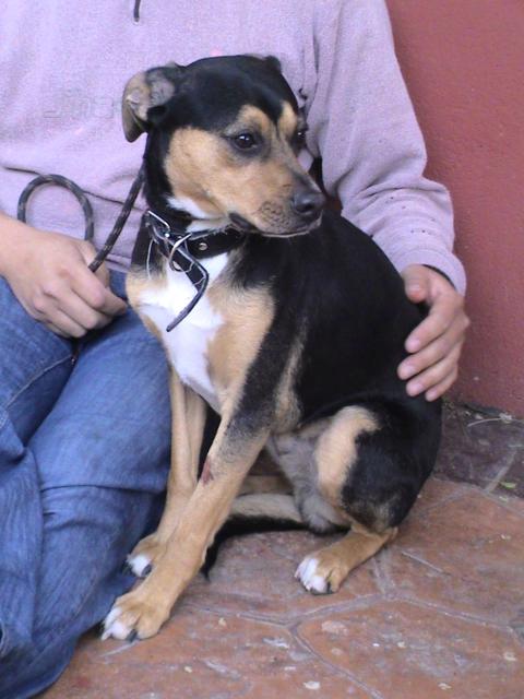 multimedia-foto36915-802-3