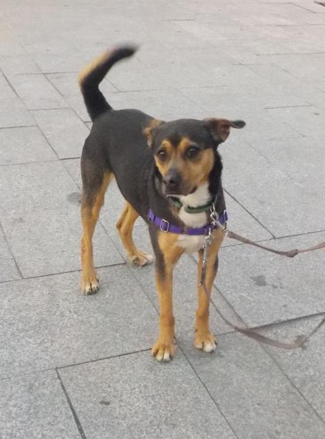 multimedia-foto36916-10-3