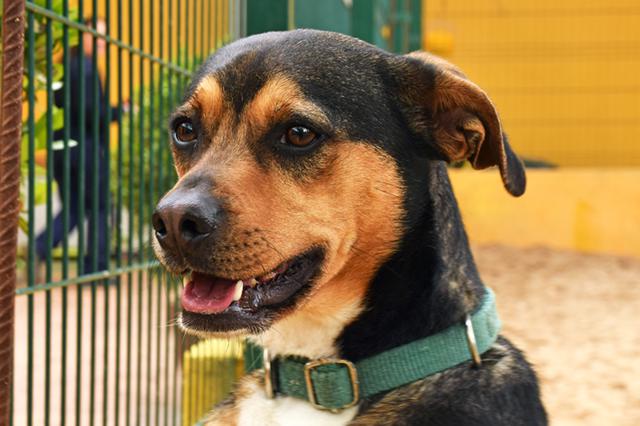 multimedia-foto36918-383-3