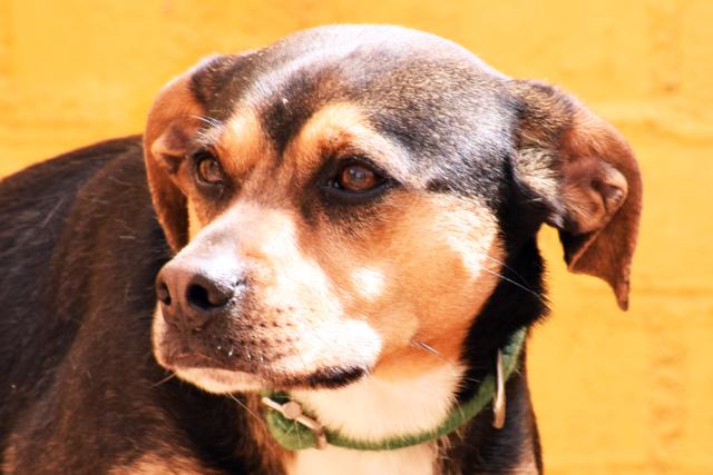 multimedia-foto36919-542-3