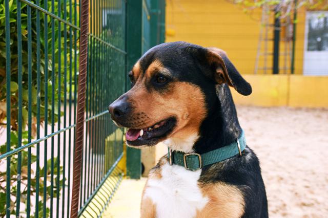 multimedia-foto36920-678-3