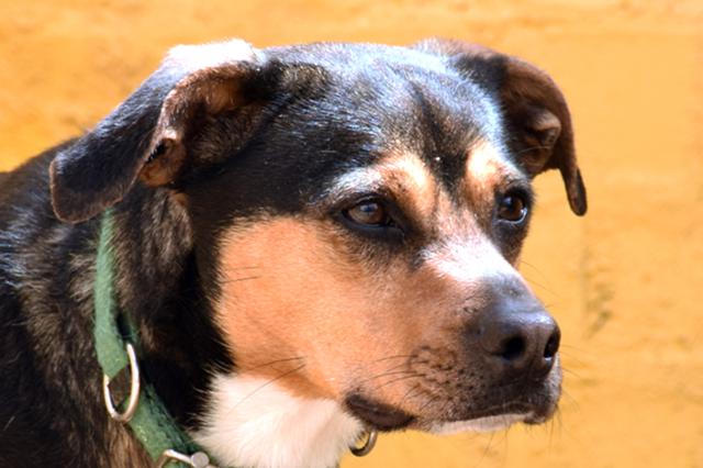 multimedia-foto36921-795-3