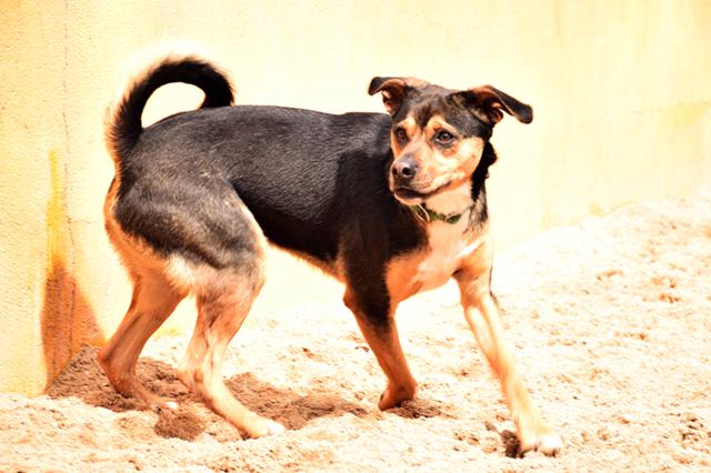 multimedia-foto36922-881-3