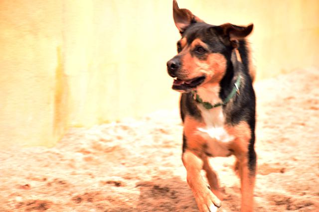 multimedia-foto36923-930-3