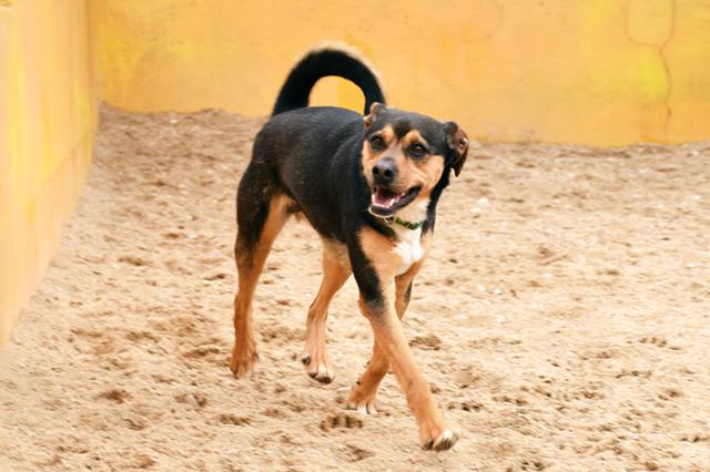 multimedia-foto36924-974-3