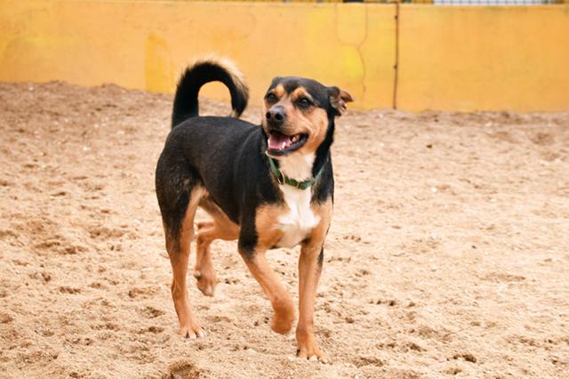 multimedia-foto36925-12-3