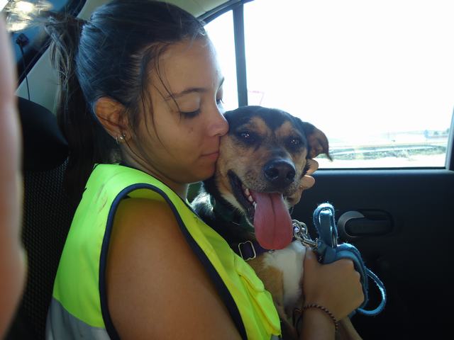 multimedia-foto36928-95-3