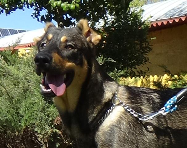 multimedia-foto36942-383-3