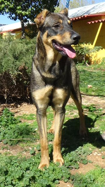 multimedia-foto36943-607-3