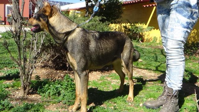 multimedia-foto36944-827-3