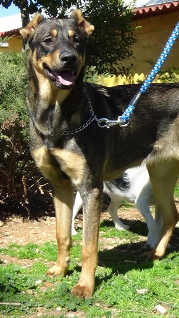 multimedia-foto36945-32-3