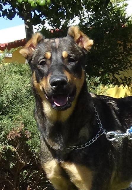 multimedia-foto36946-227-3