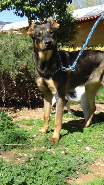 multimedia-foto36947-402-3