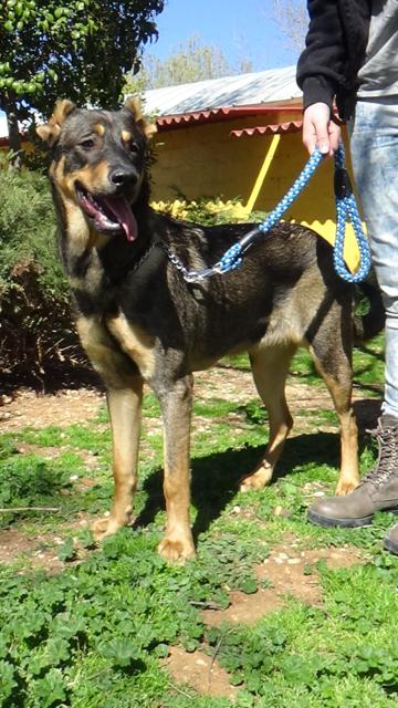 multimedia-foto36948-558-3