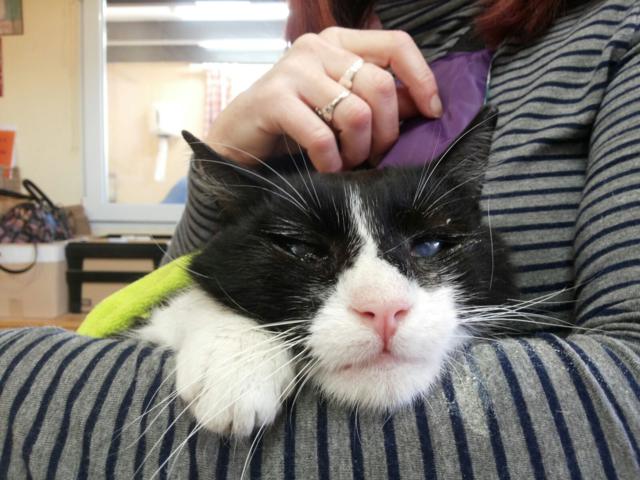 multimedia-foto36950-389-3