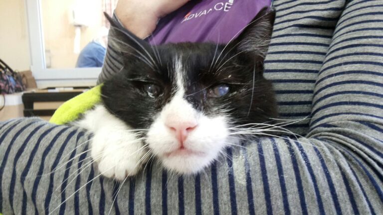 multimedia-foto36951-614-3