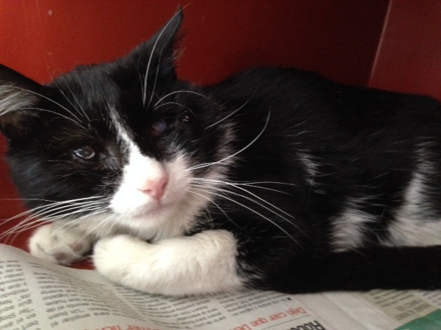 multimedia-foto36952-832-3