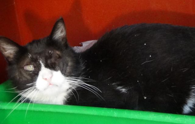 multimedia-foto36954-233-3