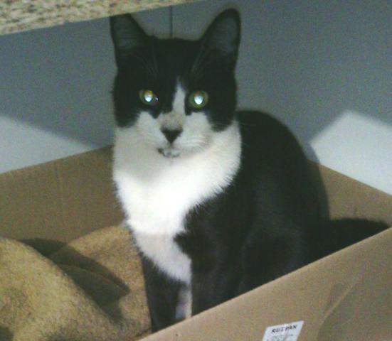 multimedia-foto36961-623-3