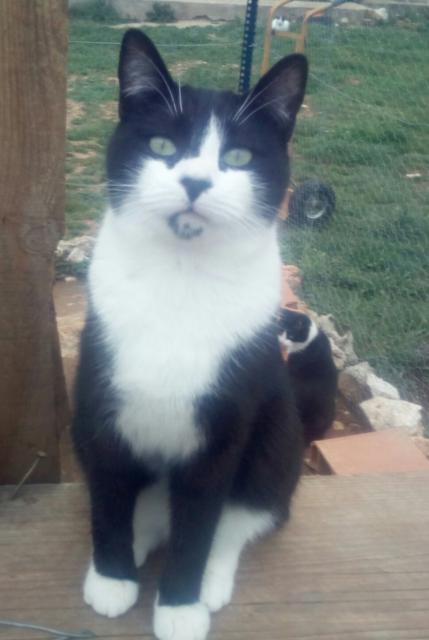 multimedia-foto36964-241-3