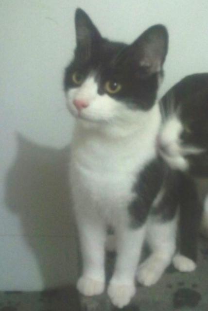 multimedia-foto36971-633-3