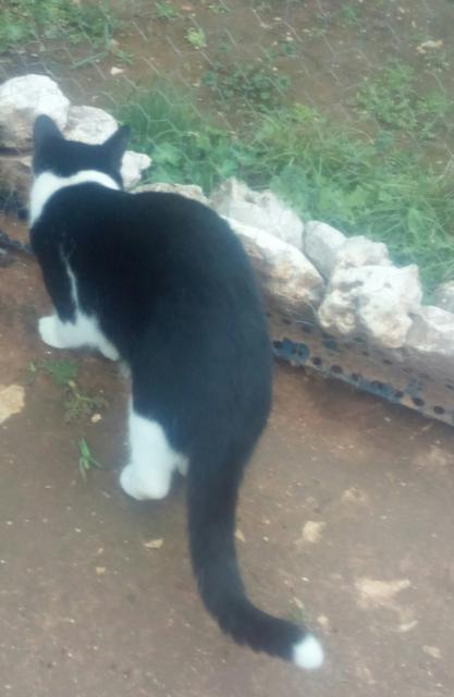 multimedia-foto36972-849-3