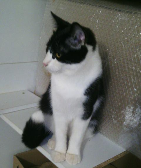 multimedia-foto36973-52-3