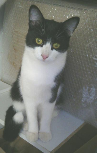 multimedia-foto36974-248-3