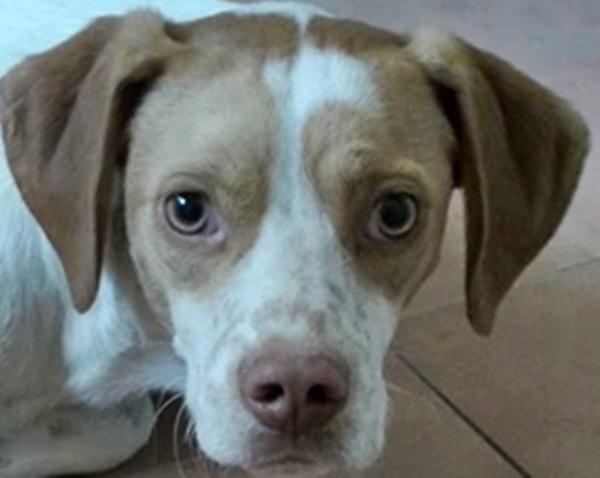 multimedia-foto36975-413-3