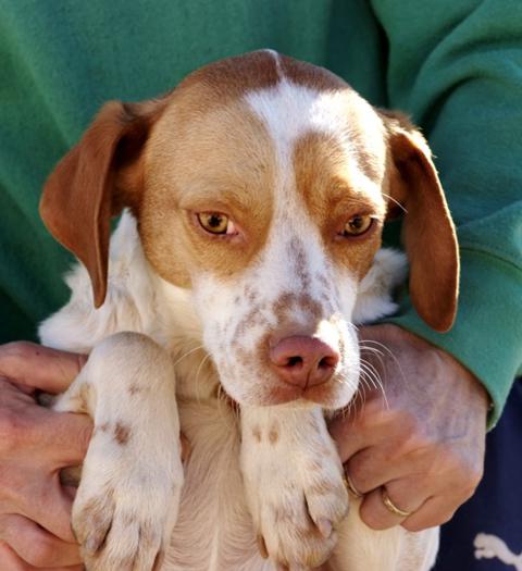 multimedia-foto36976-637-3